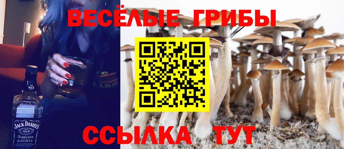 Артём  Псилоцибиновые грибы Cubensis  Псилоцибиновые грибы мицелий  Вход с VPN 